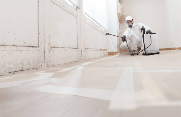 24/7 Emergency Mold Remediation experts in Jamestown, NC