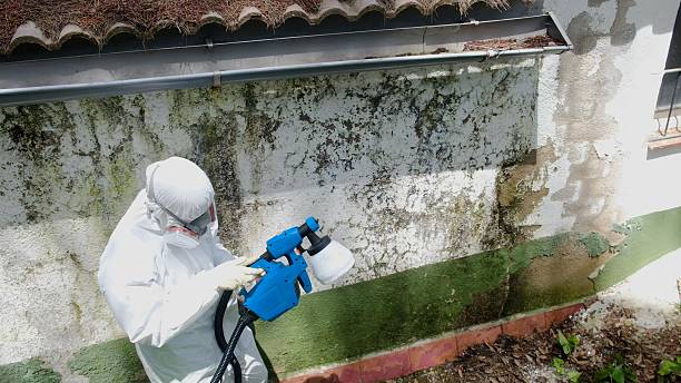 Top rated local Mold Remediation specialists in Jamestown, NC